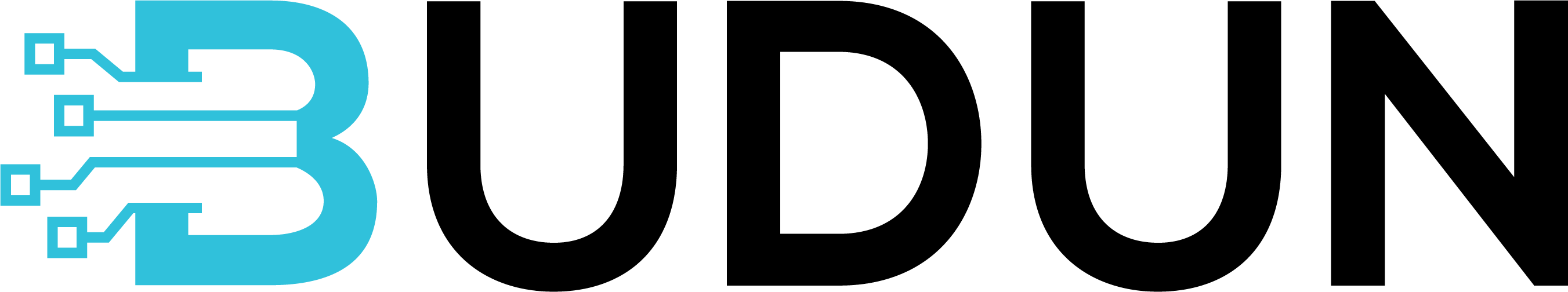 Budun Technology Logo